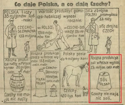 Lulu_Quest - Białoruska propaganda zarzucająca Polsce, że nie ma w niej soli przypomn...