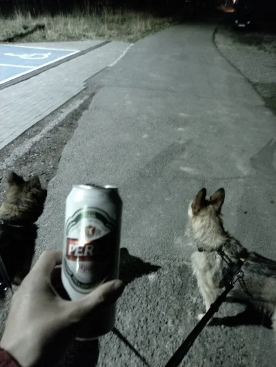 d.....0 - @callmecherry200: pije piwo i chodzę z psami na spacerze a nie molestuje si...