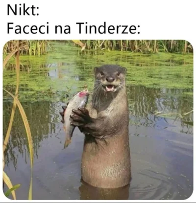 nickzgeneratora - #heheszki #humorobrazkowy