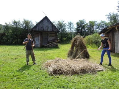 rafal-heros - AWczoraj zakupy spozywcze, caly wozek i 1100 zl wydane, to jest dramat....