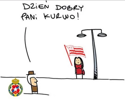 dergfell - #ekstraklasa #heheszki #wislakrakow
#mecz