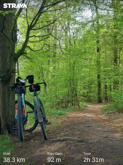 okim - 193 636 + 13 + 38 = 193 687

Stare 13 km na mtb, dodaję by nie przepadło, i dz...