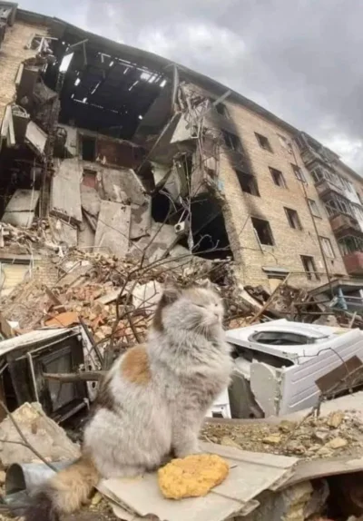Atreyu - Niezwyciężony

#kitku #koty #koteczkizprzypadku #ukraina #wojna #rosja