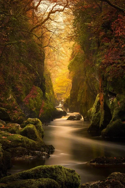 Turnam - Fairy Glen Gorge, River Convy #estetyczneobrazki #earthporn
