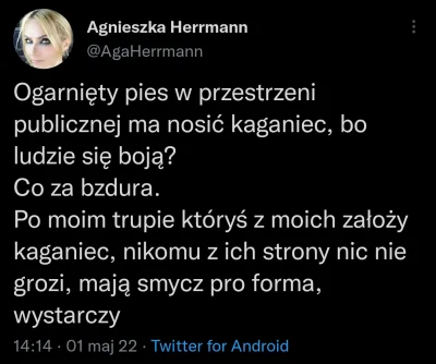 Jabby - Aha, czyli ogarnięty pies w obronie przed bombelkiem, który w swoim kilkuletn...