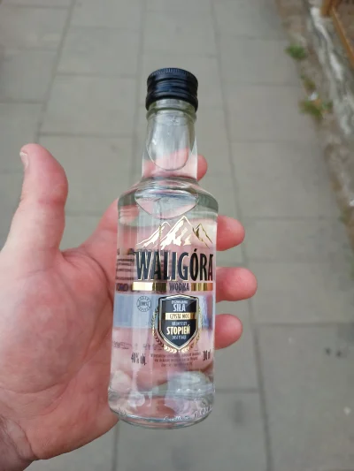 luxkms78 - #waligora #wodka #majowka #majowkazwykopem #pijzwykopem