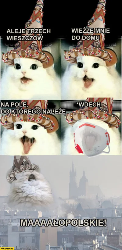 Wanzey - #krakow #heheszki #humorobrazkowy