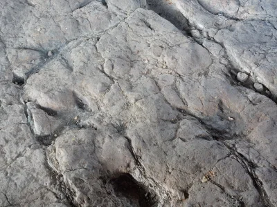 AceCombat__dziewiec0 - Ślady Allozauropoida sprzed 200 milionów lat. 
Rezerwat Gagat...