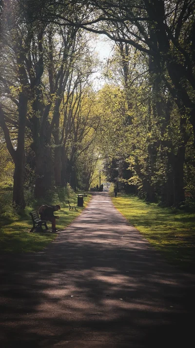 lebele - Park

#fotografia #podroze #tworczoscwlasna #boysinbristol