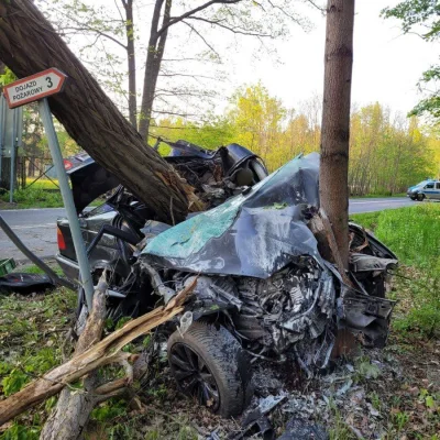 ruphert - Zrobili drogę pożarową między drzewami, 18-latek w BMW się nie zmieścił. Na...