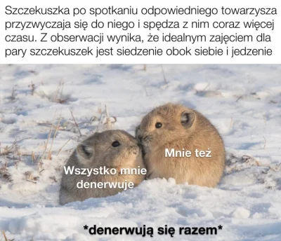 morgiel - chciałbym tak, gdzie mogę taką szczekuszke znaleźć?
#humorobrazkowy #zwiaz...