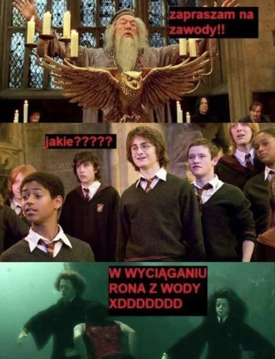 once-ler - Dobry wieczór wszystkim :3 
#harrypotter