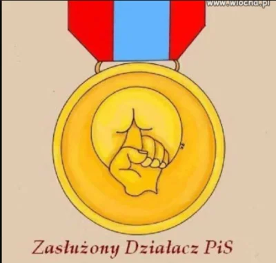 brusilow12 - @Phyrexia @Pajson: I już są pisowskie towarzysze, proszę medal specjalni...