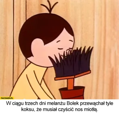 bylem_zielonko - > mój ulubiony był z miotłą i koksem

@luckylukk: ten?