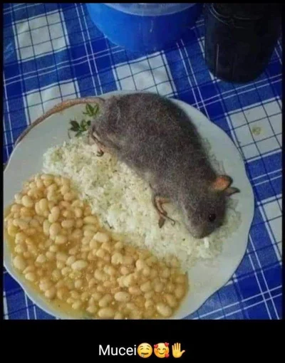 SynGilgamesza - #cursedimages #cursedfood #wtf