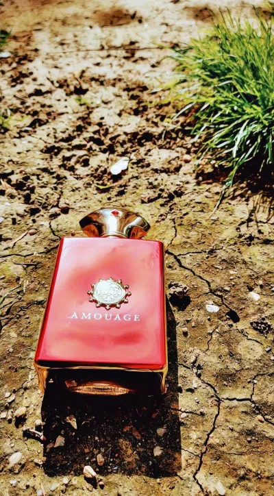 perfumowyswir - #rozbiorka jednego z najlepszych zapachów od Amouage, a mianowicie Jo...