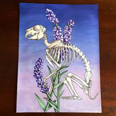 Borealny - Rabbit Skeleton and Lavender