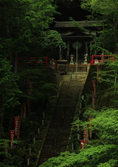 Borealny - Świątynia w Yamamoto Fudoson Okunoin
Fot. Shimofuri
#fotografia #japonia...