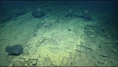 Sniper512 - Ceglana droga odkryta na dnie oceanu spokojnego.
#ciekawostki