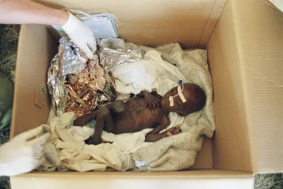 myrmekochoria - 6 miesięczne dziecko w kartonowym pudle (ważące 2,5 kg) karmione prze...