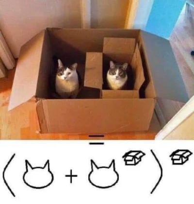 100piwdlapiotsza - #matematyka #heheszki #koty