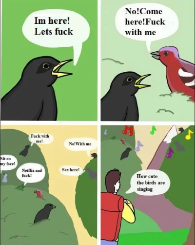 gomjeden - @cibronka: birds meme