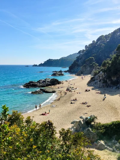 DobrzeNaoliwioneLozysko - #dziendobry z Costa Brava.

Cala sa Boadella, okolice Llore...