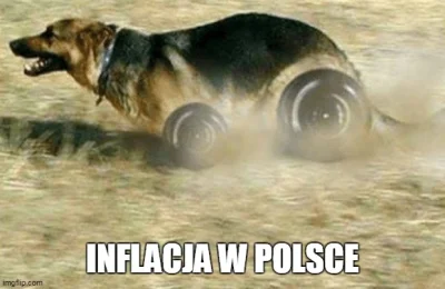 PIAN--A_A--KTYWNA - Pies goni Jaszczenbpia
#inflacja #heheszki #nbp