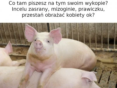 Pozytywny_gosc - @marcin-kolecki: przestaniesz obrażać nasze piękne rodaczki?