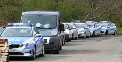 HeniekZPodLasu - Konserwator Zabytków ponoć już dojechał do panów... ;)