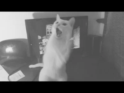 ruskizydek - Cat Dancing Like IAN CURTIS from JOY DIVISION
( ͡° ͜ʖ ͡°)
#muzycznemem...
