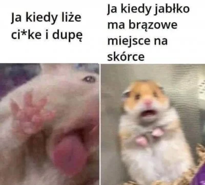 cmawczapce - #heheszki #humorobrazkowy #rozowepaski #niebieskiepaski