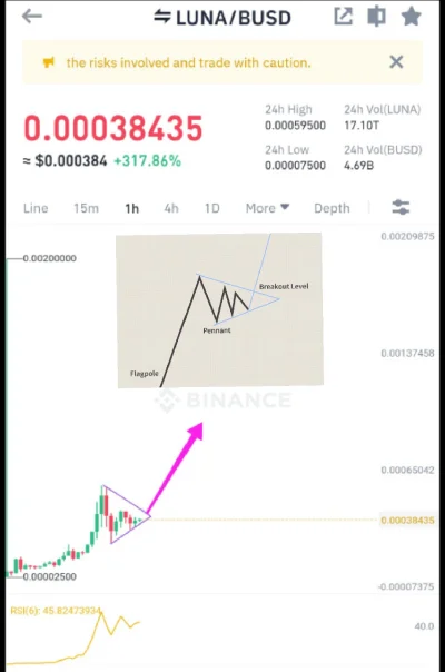 DzikiJelonek - Hoooodl #kryptowaluty