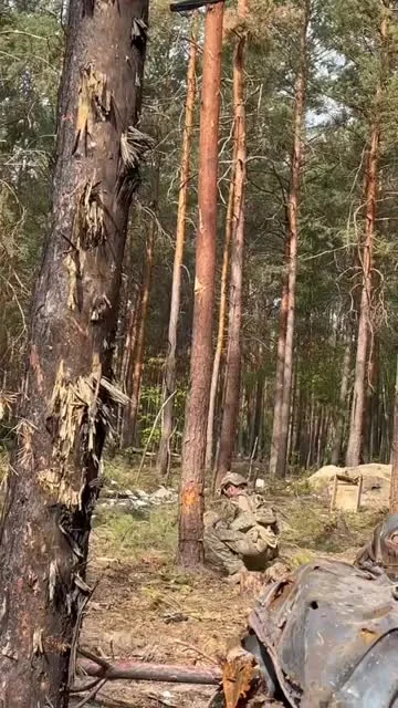 maro-grzechotnik - Artyleryjski pocisk utknął w drzewie ( ͡° ͜ʖ ͡°)
#ukraina #wojna