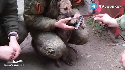 Mikuuuus - > Rosyjscy żołnierze schwytali Ukraińca i zmusili go do złożenia przysięgi...