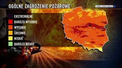snorli12 - Od początku roku straż pożarna odnotowała 2800 pożarów lasów w Polsce, zag...