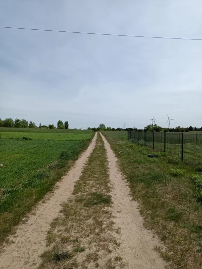 PorzeczkowySok - dzisiaj 15,6km, ciepło, słonecznie, kilka kwiatków i stary domek 

...