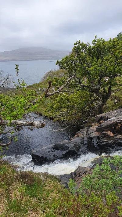 Jagoo - Isle of Mull, Szkocja. Druga co do wielkości wyspa zaraz po Sky, która należy...