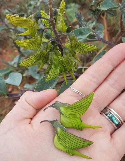 VeritasEtLux - Natura jest niesamowita...



Link do reddit