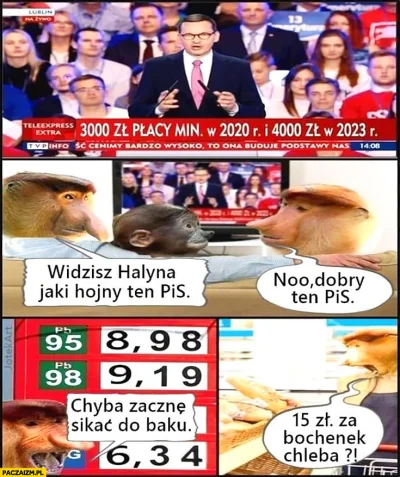 lolcat5000 - Już niedługo ( ͡° ͜ʖ ͡°)