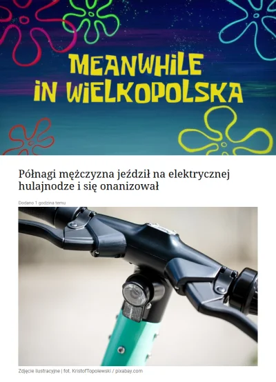 CulturalEnrichmentIsNotNice - #polska #wielkopolska #gniezno #zboczeniec ##!$%@?