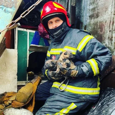 wfyokyga - Strażacy uratowali pieski z pożaru.
#ukraina #strazpozarna