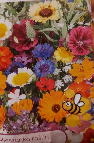 SzklankaRyzu - jutro wysiewam w ogrodzie kwiaty jednoroczne dla zapylaczy. Ktoś się o...
