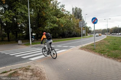 Ziombello - Jak to z wami jest?

Ja przeważnie przejeżdżam przez przejścia dla pies...