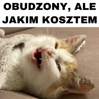 black-kitsune - #pokazkota #zakoldrowanekotki #koty

#heheszki #humorobrazkowy #mem...