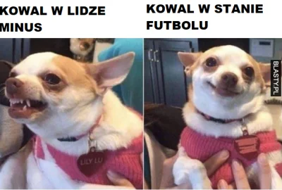 r.....f - xD
#weszlo #ligaminus #stanfutbolu