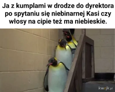 D.....r - Wpis przeznaczony do śmiesznych memów. Zapraszam do zabawy ( ͡º ͜ʖ͡º)
#hehe...