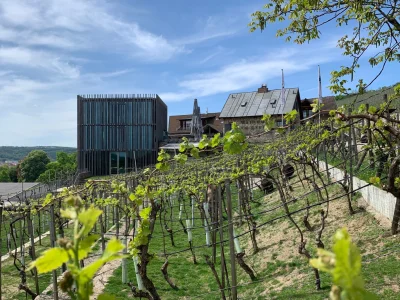 NieWinnePodroze - Leżąca u podnóża Würzburger Stein winiarnia Weingut am Stein, to je...