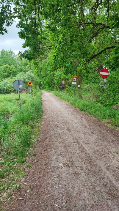 cargt3 - Dobrze że jest ograniczenie do 30 bo zamierzałem zapieprzac rowerem 100 km/h...