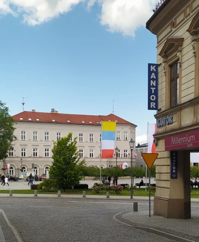 OrzelKaskader - Ej #wadowice co z wami nie tak, żeby w centrum rodzinnego miasta papi...